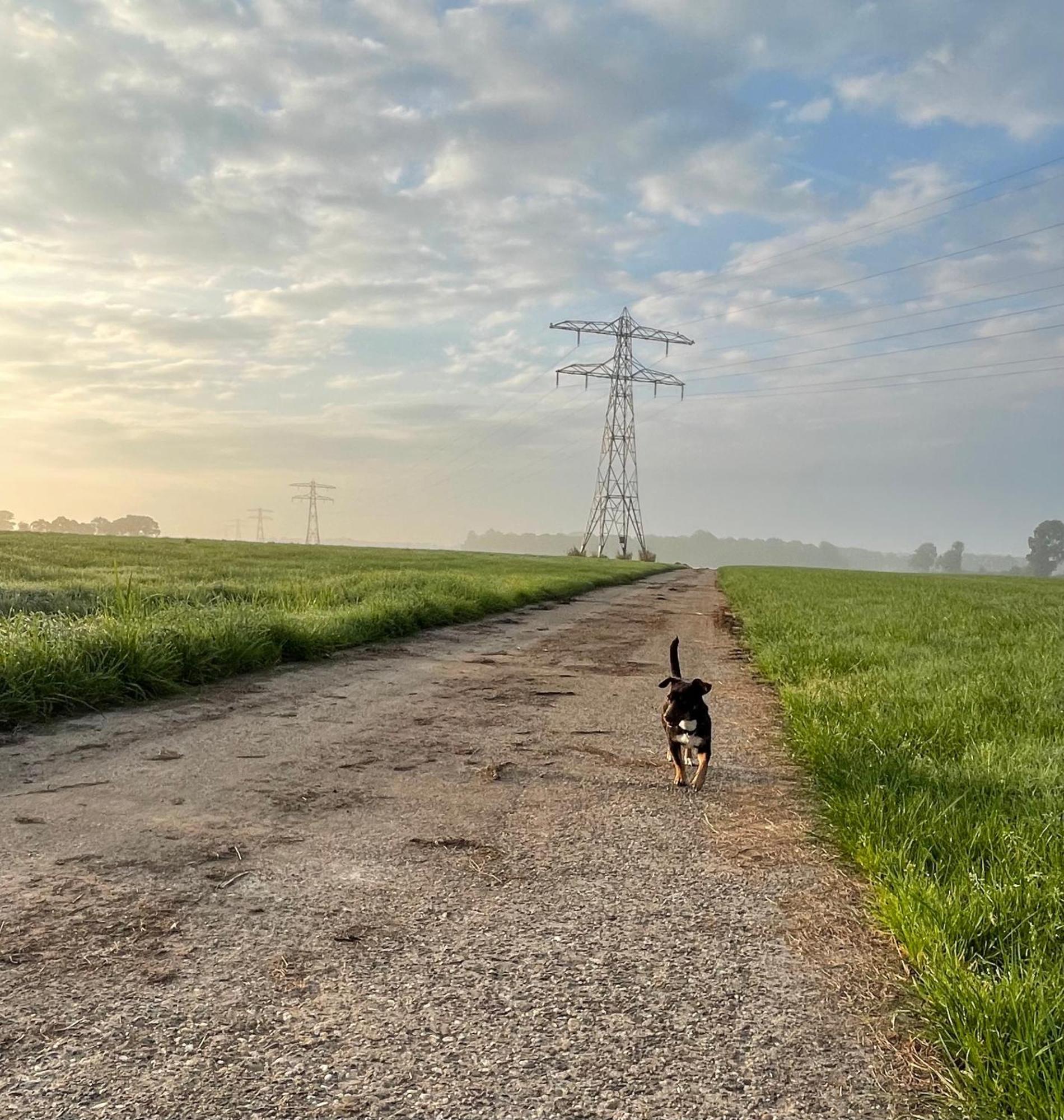 Buitenplaats Ureterp Exteriér fotografie